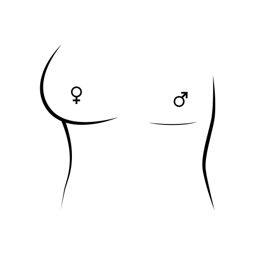 نوک سینه