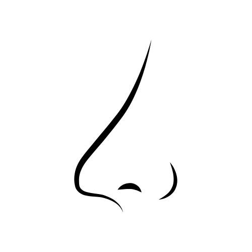 بینی